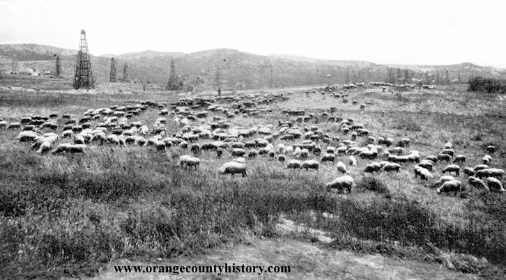 bastanchury ranch fullerton