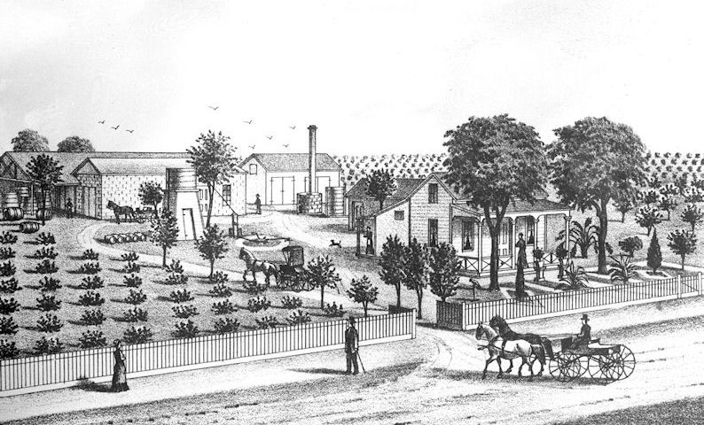konig winery anaheim 1880